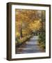 Late Fall-Diane Romanello-Framed Art Print