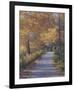 Late Fall-Diane Romanello-Framed Art Print