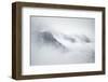 Late Fall-Ursula Abresch-Framed Photographic Print