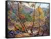 Late Fall-Anna Hills-Framed Stretched Canvas