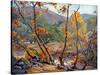 Late Fall-Anna Hills-Stretched Canvas