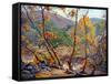 Late Fall-Anna Hills-Framed Stretched Canvas