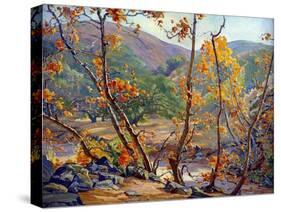 Late Fall-Anna Hills-Stretched Canvas