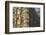 Late Gothic Town Hall at Grote Markt Square, Leuven, Brabant, Belgium, Europe-Hans-Peter Merten-Framed Photographic Print