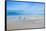 Late Gulls-Craig Trewin Penny-Framed Stretched Canvas