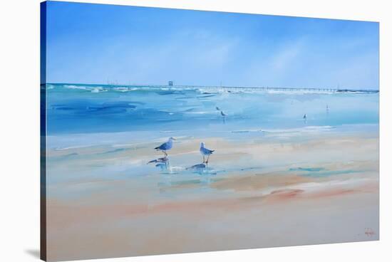 Late Gulls-Craig Trewin Penny-Stretched Canvas