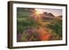 Late in the Day, Roadside Wildflowers-null-Framed Premium Photographic Print