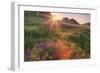 Late in the Day, Roadside Wildflowers-null-Framed Photographic Print