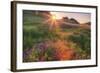 Late in the Day, Roadside Wildflowers-null-Framed Photographic Print