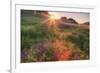 Late in the Day, Roadside Wildflowers-null-Framed Photographic Print