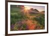 Late in the Day, Roadside Wildflowers-null-Framed Photographic Print