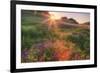 Late in the Day, Roadside Wildflowers-null-Framed Photographic Print