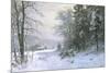 Late Lies the Winter Sun-Anders Andersen-Lundby-Mounted Giclee Print