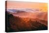 Late Light Above the Fog, Mount Tamalpais, Marin County, San Francisco-Vincent James-Stretched Canvas