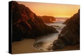 Late Light Sonoma Seascape-Vincent James-Stretched Canvas