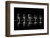 Late Night Drink-Xavier Ortega-Framed Photographic Print