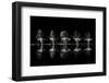 Late Night Drink-Xavier Ortega-Framed Photographic Print