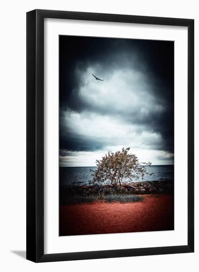 Late Night Feelings-Philippe Sainte-Laudy-Framed Premium Photographic Print