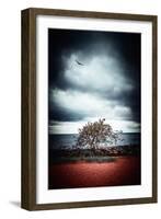 Late Night Feelings-Philippe Sainte-Laudy-Framed Photographic Print