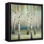 Late September Birch II-Michael Marcon-Framed Stretched Canvas