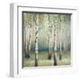 Late September Birch II-Michael Marcon-Framed Art Print