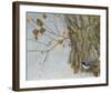 Late Snow Warbler-Chris Vest-Framed Art Print