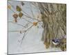 Late Snow Warbler-Chris Vest-Mounted Art Print