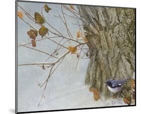 Late Snow Warbler-Chris Vest-Mounted Art Print