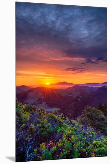 Late Spring Sunrise Magic, Mount Diablo, Lafayette, California, Oakland-Vincent James-Mounted Photographic Print