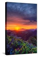 Late Spring Sunrise Magic, Mount Diablo, Lafayette, California, Oakland-Vincent James-Stretched Canvas