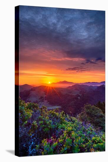 Late Spring Sunrise Magic, Mount Diablo, Lafayette, California, Oakland-Vincent James-Stretched Canvas