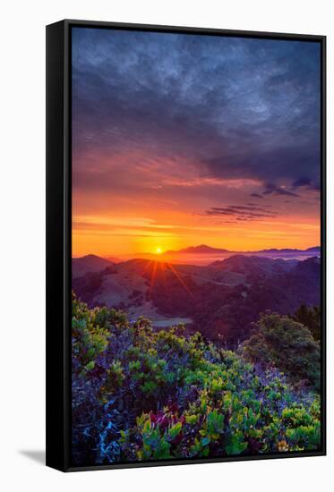 Late Spring Sunrise Magic, Mount Diablo, Lafayette, California, Oakland-Vincent James-Framed Stretched Canvas