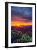 Late Spring Sunrise Magic, Mount Diablo, Lafayette, California, Oakland-Vincent James-Framed Photographic Print