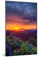 Late Spring Sunrise Magic, Mount Diablo, Lafayette, California, Oakland-Vincent James-Mounted Photographic Print