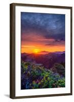 Late Spring Sunrise Magic, Mount Diablo, Lafayette, California, Oakland-Vincent James-Framed Photographic Print