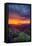 Late Spring Sunrise Magic, Mount Diablo, Lafayette, California, Oakland-Vincent James-Framed Stretched Canvas