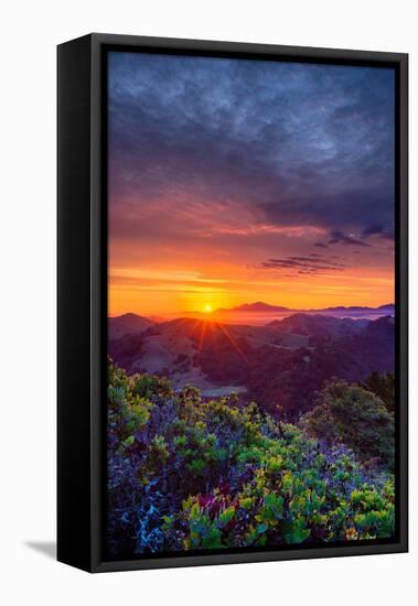 Late Spring Sunrise Magic, Mount Diablo, Lafayette, California, Oakland-Vincent James-Framed Stretched Canvas