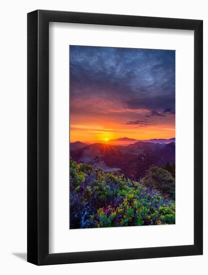 Late Spring Sunrise Magic, Mount Diablo, Lafayette, California, Oakland-Vincent James-Framed Photographic Print