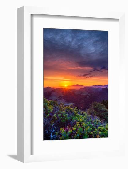 Late Spring Sunrise Magic, Mount Diablo, Lafayette, California, Oakland-Vincent James-Framed Photographic Print