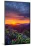 Late Spring Sunrise Magic, Mount Diablo, Lafayette, California, Oakland-Vincent James-Mounted Photographic Print