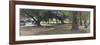 Late Summer, Battersea Park, 2009-Peter Brown-Framed Giclee Print