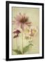 Late Summer Blooms 1-Elizabeth Urquhart-Framed Art Print