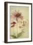 Late Summer Blooms 1-Elizabeth Urquhart-Framed Art Print