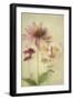 Late Summer Blooms 1-Elizabeth Urquhart-Framed Art Print