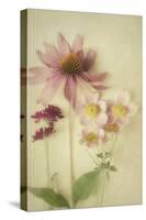 Late Summer Blooms 1-Elizabeth Urquhart-Stretched Canvas