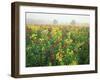 Late Summer Field of Ironweed, Sneezeweed and Yarrow Flower, Kentucky, USA-Adam Jones-Framed Photographic Print