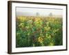 Late Summer Field of Ironweed, Sneezeweed and Yarrow Flower, Kentucky, USA-Adam Jones-Framed Photographic Print