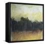 Late Summer Field-Tim Nyberg-Framed Stretched Canvas