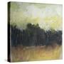 Late Summer Field-Tim Nyberg-Stretched Canvas