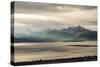 Late Summer in Alaska-Latitude 59 LLP-Stretched Canvas